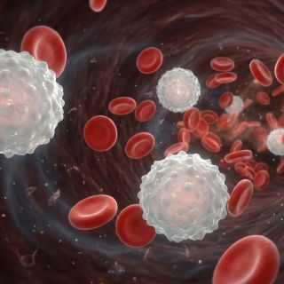 Unterstützt einen stabilen Blutdruck